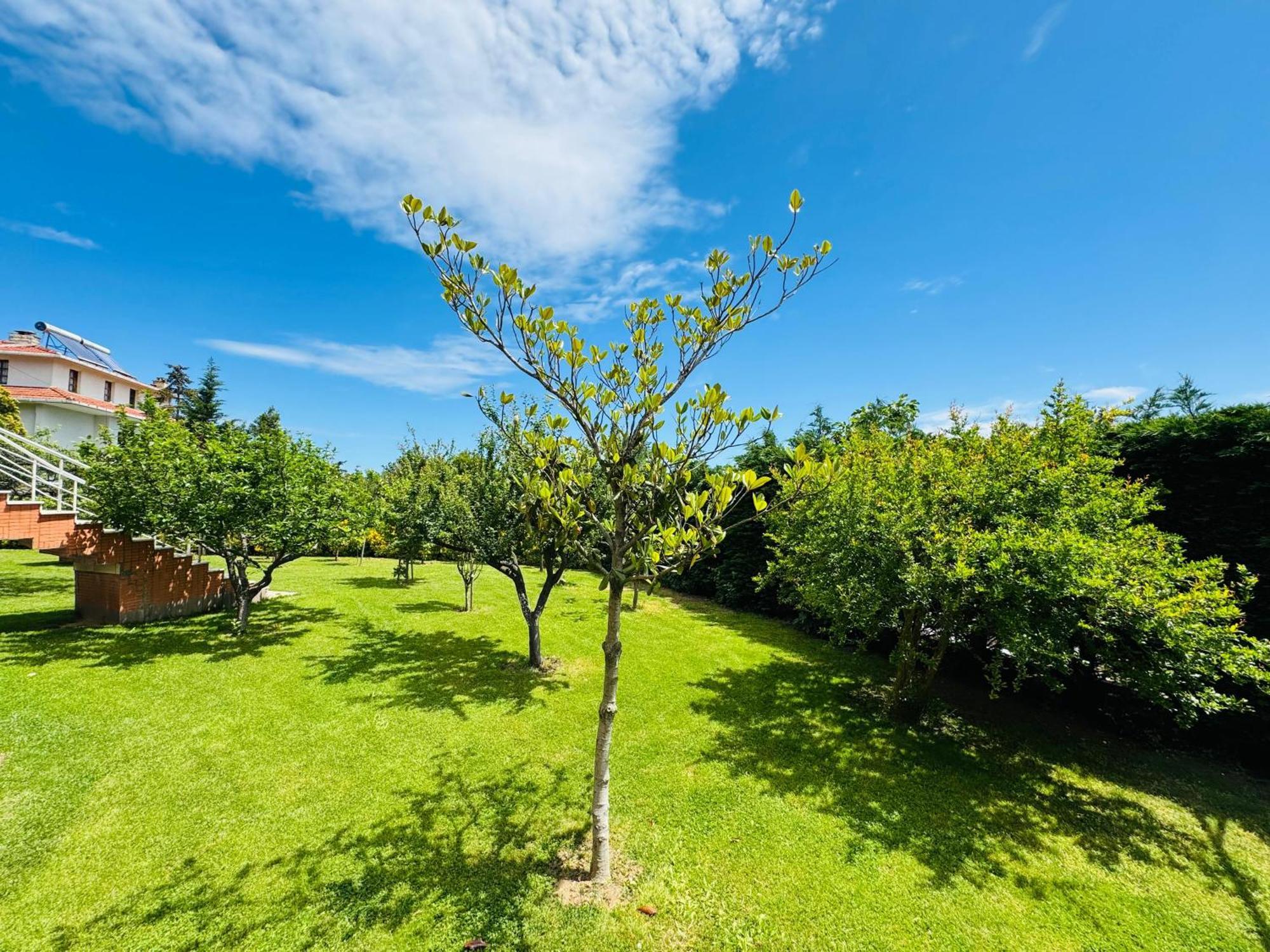 Treekos Suite Hotel Istanbul Airport Arnavutkoy Dış mekan fotoğraf